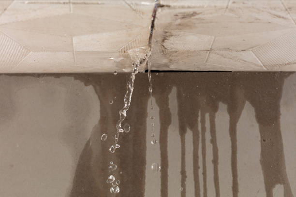 Professional Structural Drying technician working in Douglas, MA
